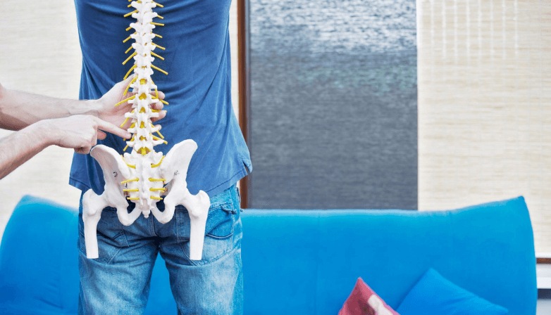 Lumbar Spine