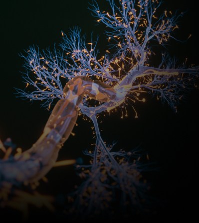 Nerves - Communication