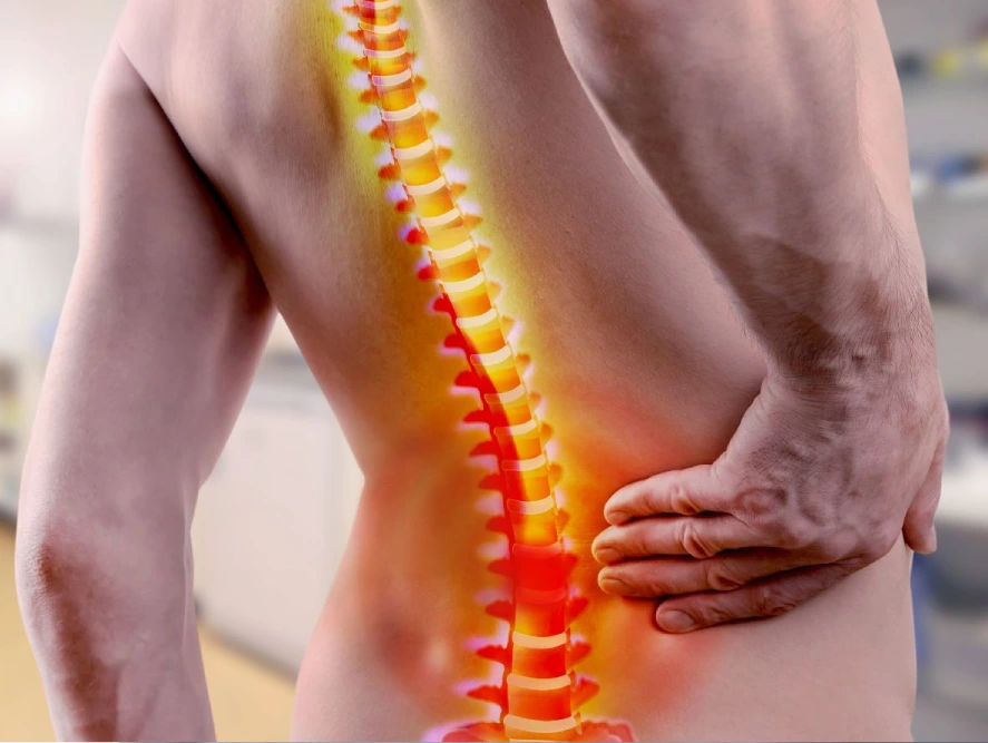 spinal fusion surgery healing time and longevity